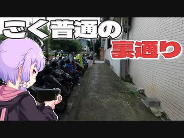 東湖にある住宅街のごく普通の裏通りをボロボロ日本語で探訪する【VOICEROID 結月ゆかり】