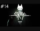 【Stray】 葵ちゃんが猫と散歩する #14