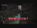 ゆっくりのエルデンリング（きつねとたぬき）#14
