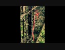 【NNIオリジナル】Red Shoelace (Instrumental)