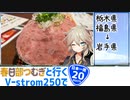 【ニホイチ】春日部つむぎと行くV-strom250で日本一周　ROUTE.２０