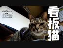 【第67回】看板ネコ？とアボカドと年賀状準備