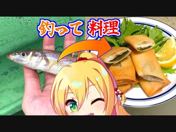 釣ったキスで春巻きをつくろう！【VOICEROIDキッチン】