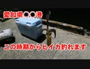 【釣り動画】この時期からヒイカ釣れます。愛知県半田港までヒイカ釣りに行ってきました！