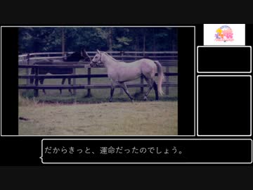 チームスピカ問題児しか居ない説番外編　サンデーサイレンス　夢の続き編