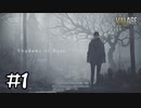 【ゲーム実況】普通を求めて意識世界へ【バイオハザード ヴィレッジShadows of Rose】#1