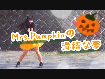 Mrs.Pumpkinの滑稽な夢　/  黒猫ちゃんで【踊ってみた】