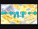 鳥の一族と蛇（龍）の一族　＃８－３　空中携挙～霊的自覚とは～