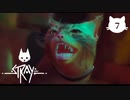 【初見実況】猫好きの猫飼い、猫になる。【Stray】＃07