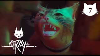 【初見実況】猫好きの猫飼い、猫になる。【Stray】＃07