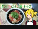 ξﾟ⊿ﾟ)ξ雑に料理を楽しむようです#20【はらこ飯　その2】