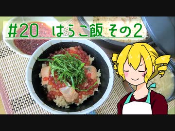 ξﾟ⊿ﾟ)ξ雑に料理を楽しむようです#20【はらこ飯　その2】