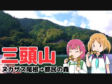 三頭山（ヌカザス尾根）