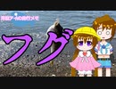月読アイの釣行メモ part20【VOICEROIDフィッシング】