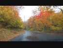 【車載動画】【国道400号】雨に濡れる美しき紅葉の舟鼻峠を走る【2022】