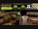 【実況】牧場物語Oh!ワンダフルライフを遊ぶいも#38