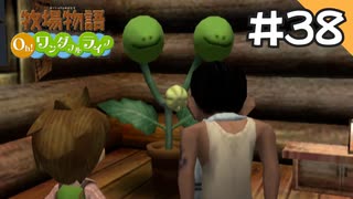 【実況】牧場物語Oh!ワンダフルライフを遊ぶいも#38