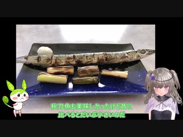 【料理】　こっそりおうちバーベキュー2　【VOICEVOX】