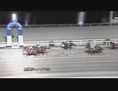 ２歳ＣＳ・未来優駿２０２２ 報知新聞社杯 第7回黒潮ジュニアチャンピオンシップ ハチキンムスメ