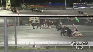 第43回北見記念 アオノブラック