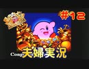 【夫婦実況】洞窟大作戦・完【星のカービィSDX】＃１２
