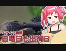 2022年10月30日　農作業日誌P433　世界最強の爆弾イワンと出荷作業　MYCOEIROINK