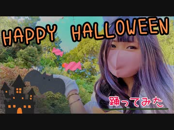 □Happy Halloween / Junky □白猫ちゃんで【踊ってみた】