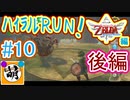 【ハイラルRUN!】相棒とハイラルの歴史をゆたぁ～りと駆け巡る! #0012 第1章:スカイウォードソード編　第10話 後編[萌黄鮭]