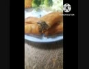 春巻きにいそ松葉あうよお腹冷えないように春巻き違った腹巻き