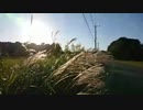 【実況探索2022】千葉県 大網白里市の神社巡り【#2】