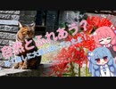 自然とふれあう？あて無しに大濠公園に行ったよ！【VOICEROID旅行】