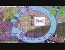 ちょっとラグナロクオンラインの様子見てくる！#4【結月ゆかり実況】【RO】