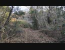 八街の放棄分譲地