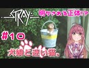【Stray】犬娘と迷い猫【主人公が猫！？】 #10