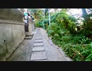 千葉県松戸市上矢切-中矢切を歩く 【千葉県市川市のつもりが全然松戸市だった編part 1】【散歩202】