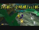 マリオカート8DX初心者ががんばって大会に出るだけ【番外編】
