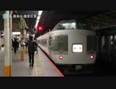 【乗車記録】 189系 最後の 鎌倉紅葉 号 2017年