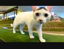 巨大猫に狙われる城下町