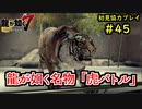 【龍が如く7】新たな伝説をプレイしていくpart45【協力実況】