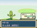 【改造ポケモン】「ポケットモンスター　●●●●ルビー」　part1