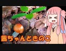 平凡料理人茜、炊ぐ番外編「茜ちゃんときのこ2022」