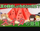 【ゆっくり解説】スイカの栄養について解説！