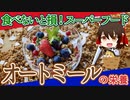 【ゆっくり解説】オートミールの栄養について解説！