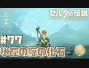 本当に本当に なんて遠い廻り道…！【リトの村編】#77