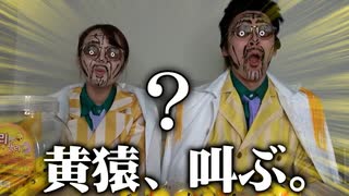 人気の 黄猿 動画 129本 ニコニコ動画