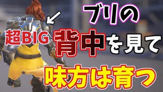 人気の ブリギッテ 動画 54本 ニコニコ動画