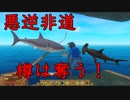 イカダ漂流記(RAFT)Days6「オールはスコップの代わりにはならない」
