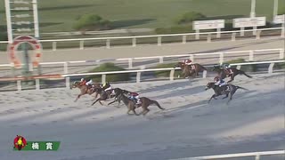 第56回楠賞 エコロクラージュ