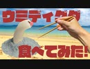 ウミディグダ食べてみた！【料理】