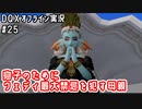 息子のためにウェディ最大禁忌を犯す母親｜DQXオフライン実況#25